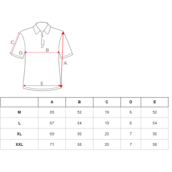 Vīriešu piparmētru polo krekliņš Casual