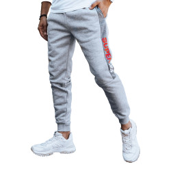 Vīriešu gaiši pelēkas ikdienas bikses Finn