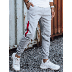 Vīriešu gaiši pelēkas ikdienas bikses Finn