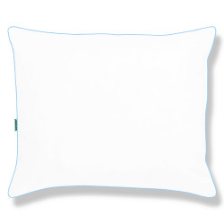 Spilvens 40x40 Gadalaiki