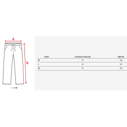 Vīriešu sarkanas ikdienas bikses Harin