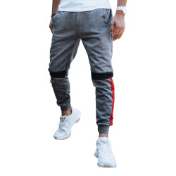 Vīriešu pelēkas ikdienas bikses Edma