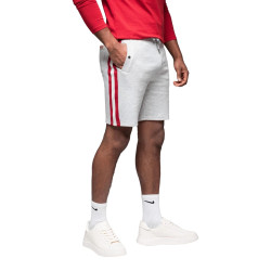 Vīriešu pelēkie šorti Aras