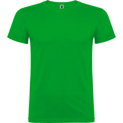 Men's green Beagle T-shirt