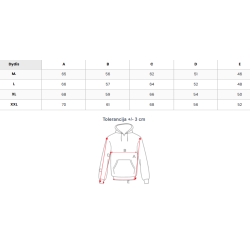 Vīriešu pelēks džemperis Icon2 Vīriešu pelēks džemperis Icon2