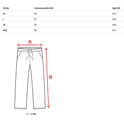 Vīriešu pelēkas bikses Dean