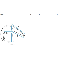 Sieviešu pelēks džemperis Kerinda