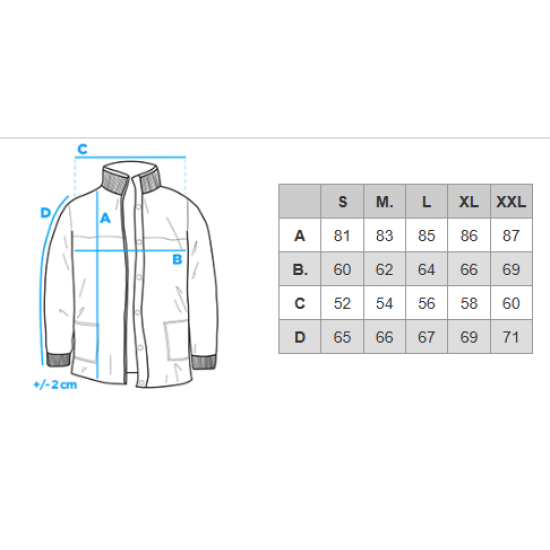 Vīriešu pelēka ziemas jaka Alf Ziemas jakas