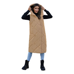 Brūna gara veste Kiket