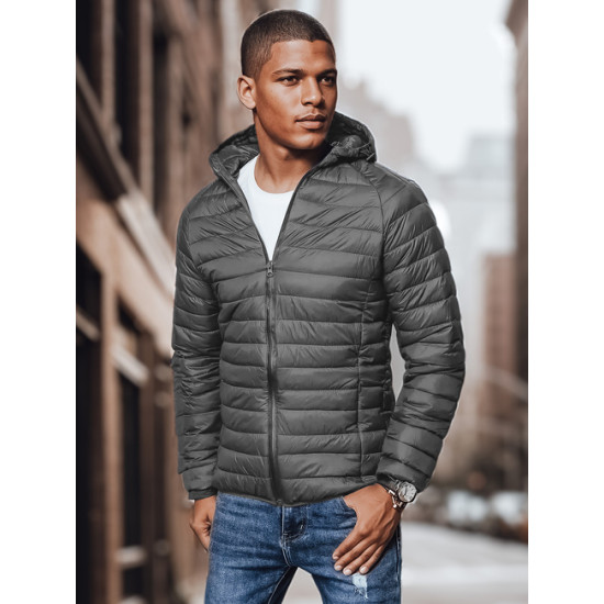 Vīriešu pelēka jaka Serg TX4422