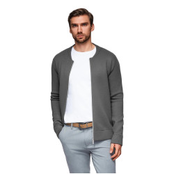 Vīriešu pelēks džemperis Airin