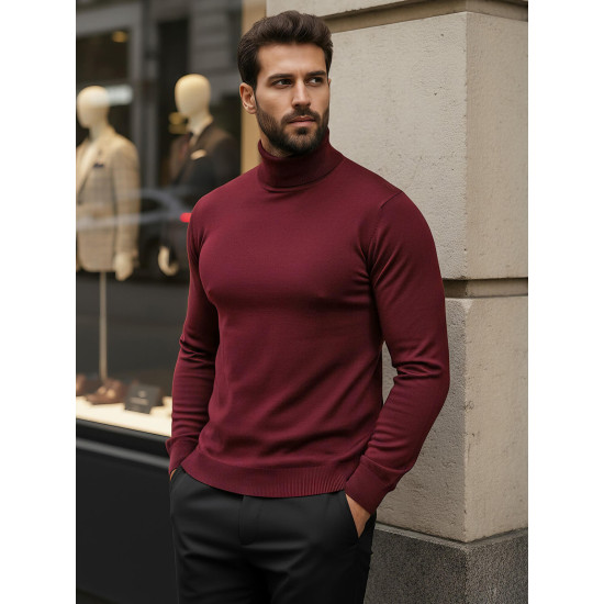 Vīriešu bordo krāsas džemperis ar augstu apkakli Lenox Džemperi