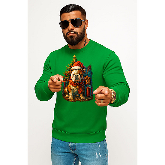 Green hooded jumper Christmas dog