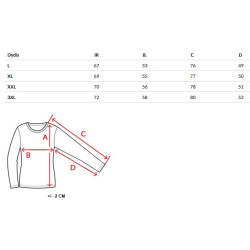 Vīriešu pelēks džemperis Garner