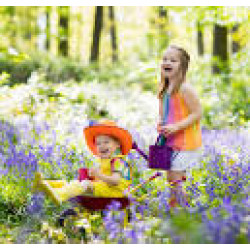 Plīša talismans Plīša rotaļlieta lama bēšs 40 x 40 cm