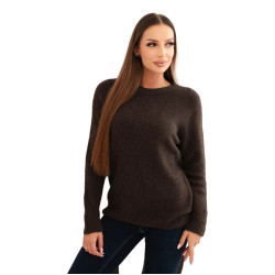 Sieviešu brūns džemperis Arol