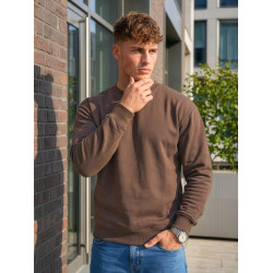 Vīriešu tumši brūns džemperis ar kapuci Tērauds