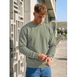 Vīriešu haki krāsas džemperis ar kapuci Steel