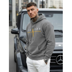 Vīriešu pelēks džemperis Victory