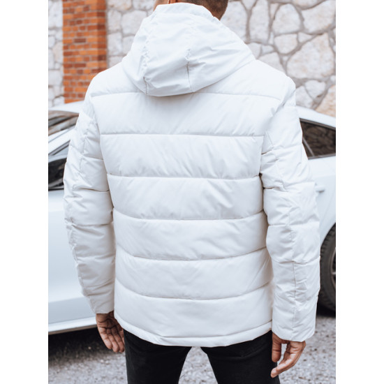 Vīriešu balta ziemas jaka Ross