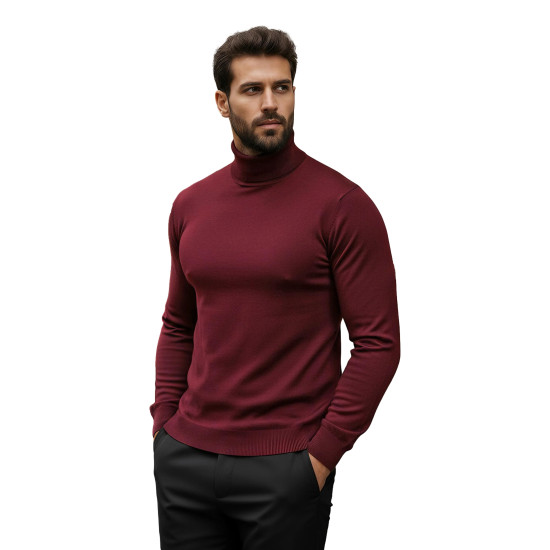 Vīriešu bordo krāsas džemperis ar augstu apkakli Lenox Džemperi