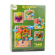 Construction Blocks Flowers in Frame Compositions 4in1 882 pcs.
