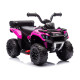 Rozā ar akumulatoru darbināms kvadricikls GTS1155