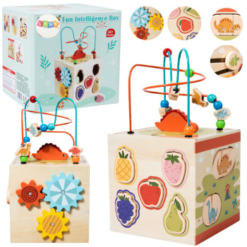 Izglītojošais kubs Sensory Sorter 5 līmeņu koka