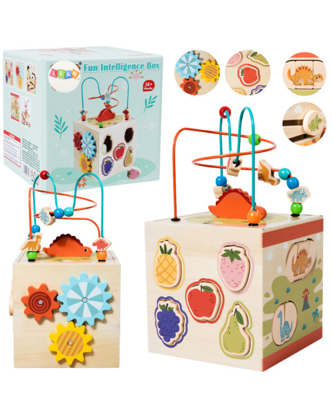 Izglītojošais kubs Sensory Sorter 5 līmeņu koka