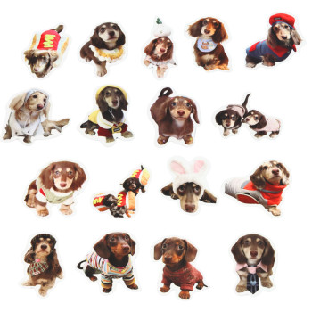 Spaniels uzlīmju komplekts 50 gab.