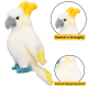 Plush Mascot Cuddly Toy Parrot Cockatoo White 35cm Plīša rotaļlietas