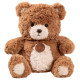 Plush Mascot Cuddly Toy Teddy Bear with Medallion Brown 25cm Plīša rotaļlietas