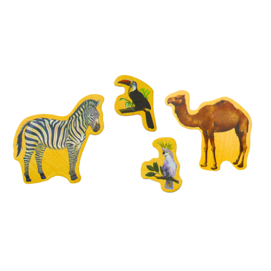 20 įvairių medinių gyvūnų magnetų rinkinys Dinozaurai