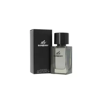 Burberry Mr. Burberry EDT 100 ml