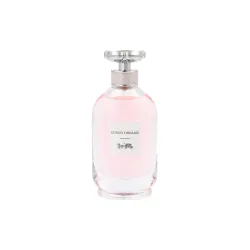Tester Coach Dreams Edp 90 ml