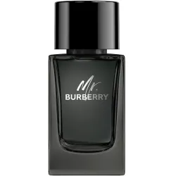 Burberry Mr. Burberry Edp 100ml