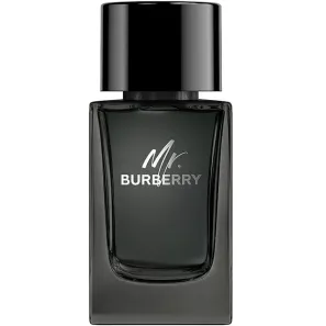 Burberry Mr. Burberry EDP 100 ml