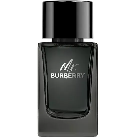 Burberry Mr. Burberry Edp 100ml