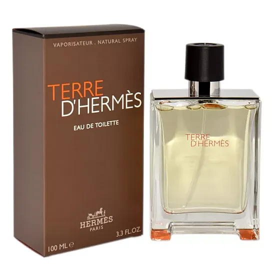 Hermes Terre D`Hermes Edt 100ml Eau de Toilette (EDT) Hermes