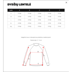 Pelēks džemperis dāmām Magi