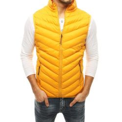 Dzeltena veste vīriešiem  Dzeltena veste vīriešiem