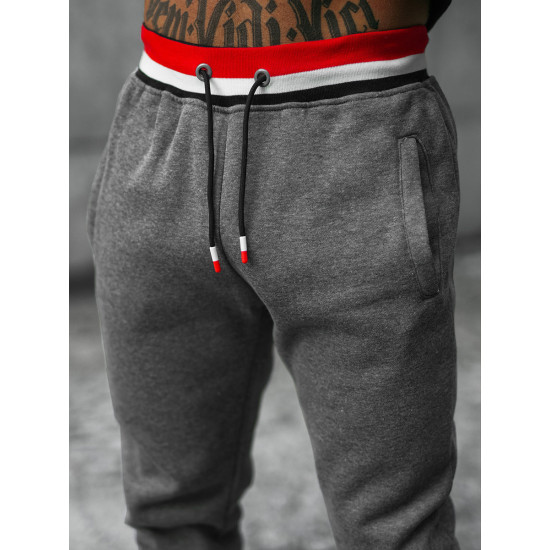 Vīriešu tumši pelēks treniņtērps Grafor Sporta tērpi Premium