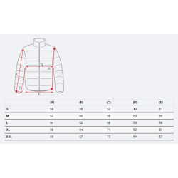 Vīriešu pelēka jaka Donald Vīriešu pelēka jaka Donald