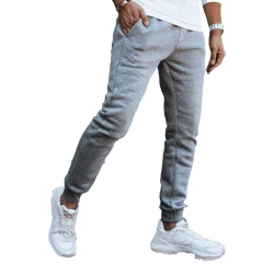 Vīriešu gaiši pelēkas ikdienas bikses Anti