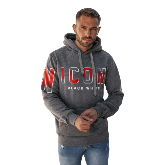 Vīriešu pelēks džemperis Icon2 Džemperi ar kapuci
