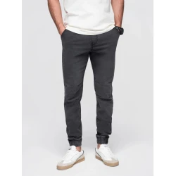 Vīriešu bikses Cosmi pelēkas
