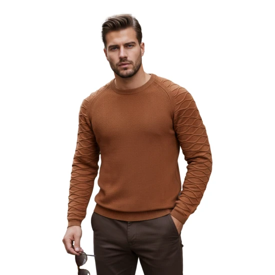 Brūns vīriešu džemperis Enton