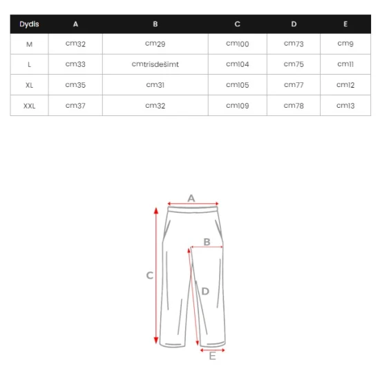 Vīriešu pelēks sporta tērps Sumer Sportinis8