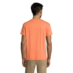 Vīriešu persiku krāsas Regent krekls