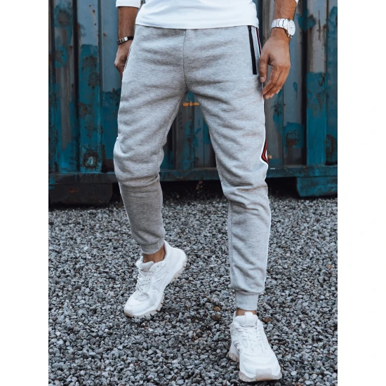 Vīriešu gaiši pelēkas ikdienas bikses Adam UX4426